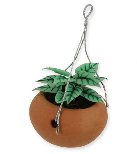 Hängende Topfpflanze - 3 x 6 cm