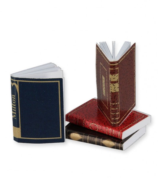 Bücher - bunt - 1,5 x 2 x 0,3 cm - 4 Stück