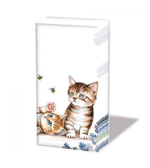 Papiertaschentücher "Cats and Bees" - 10 Stück