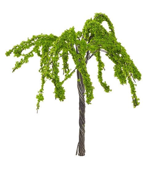 Miniatur Weidenbaum - 6 cm