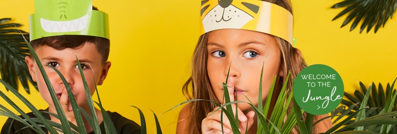 https://www.pink-dots.ch/kindergeburtstag/jungenparty/safari-partydeko