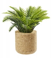 Palm-Pflanze mit Topf aus Kork - 6,5 cm