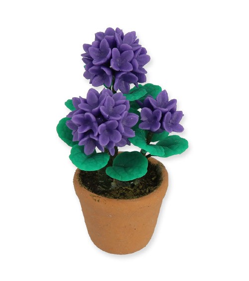 Mini Hortensie im Topf - lila - 4 cm