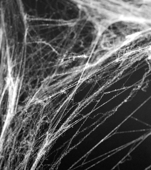Spinnennetz aus Kunstfaser - weiß - 60 g