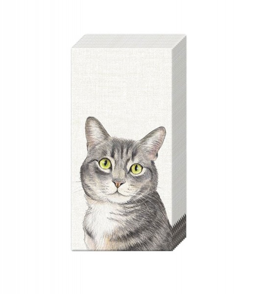 Papiertaschentücher "Farm Cat" - 10 Stück