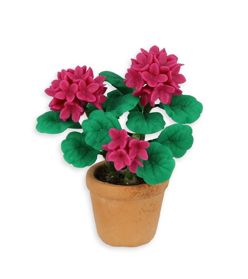 Mini Hortensie im Topf - pink - 4 cm