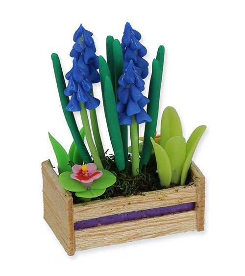 Mini Frühlingsblumen in Holzkiste - blau - 5,4 cm