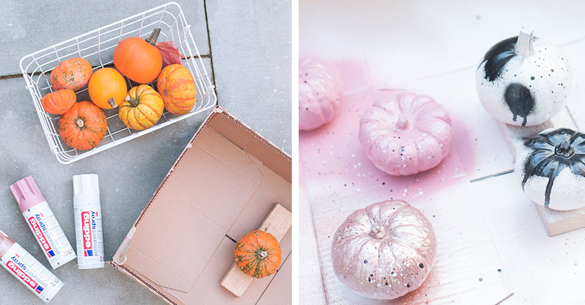 Zuckrig schöne Zierkürbisse als DIY-Deko für Halloween (c) delari.de Zuckrig schöne Zierkürbisse als DIY-Deko für Halloween (c) delari.de