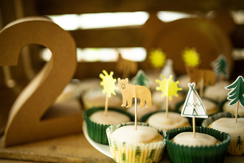 Waldstimmung auf der Jungenparty mit kleinen Cupcake-Picks mit Naturmotiven (c) annalotz.fotografie.jpg