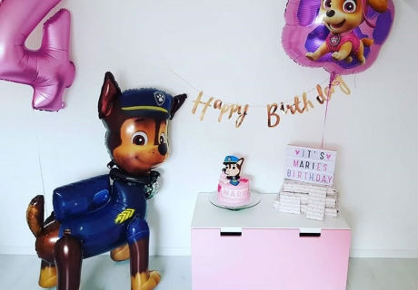 Die Paw Patrol macht sich als Deko auch in Pink und Co. gut (c) caro_und_reisemaus