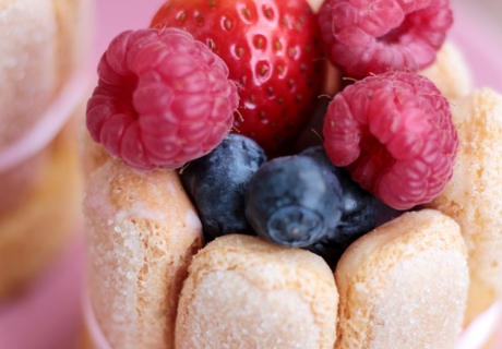 Dreifache Mini-Beeren-Charlotte mit Löffelbiskuit